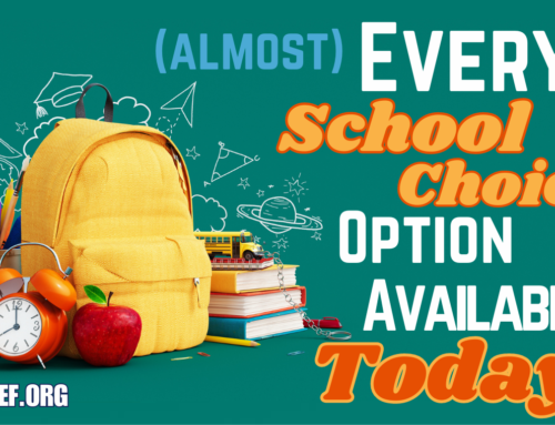 (Almost) Every School Choice Option Available in America Today